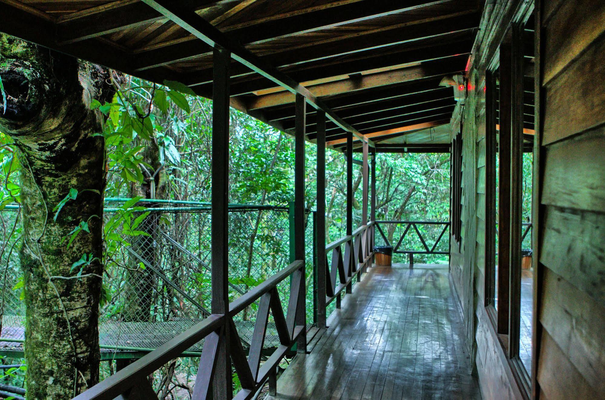 Jaguarundi Jungle Lodge - Monteverde Exterior photo