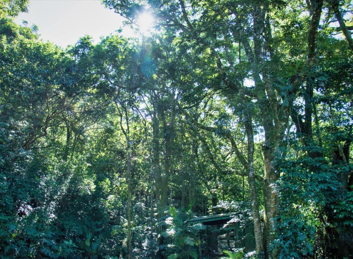 Jaguarundi Jungle Lodge - Monteverde Exterior photo